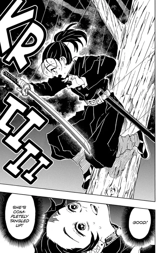 Demon Slayer Chapter 30 image 17_optimized